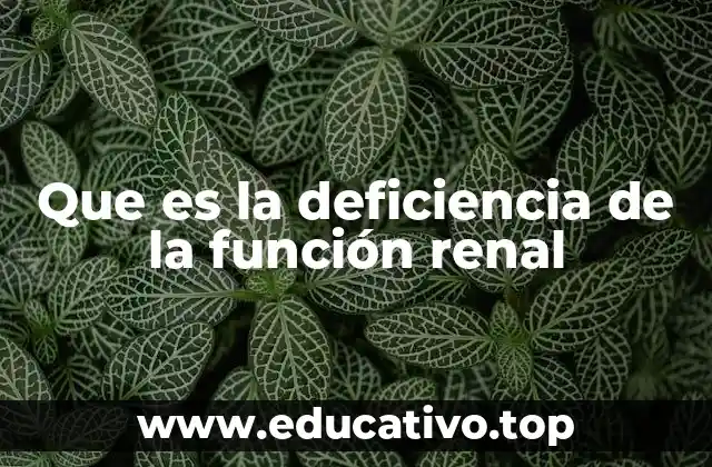 Que es la deficiencia de la función renal