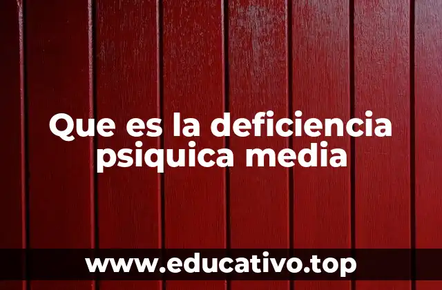 Que es la deficiencia psiquica media