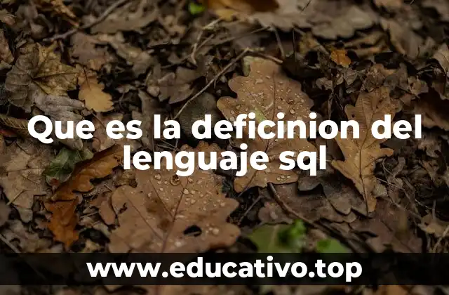 Que es la deficinion del lenguaje sql