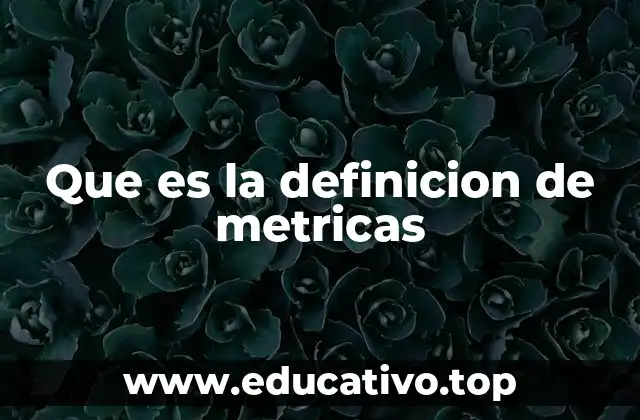Que es la definicion de metricas