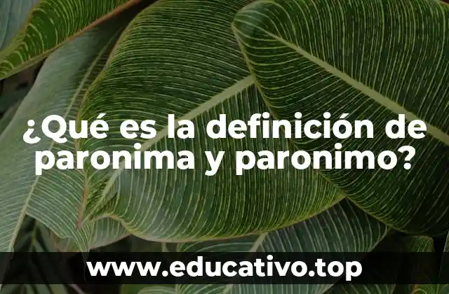 ¿Qué es la definición de paronima y paronimo?