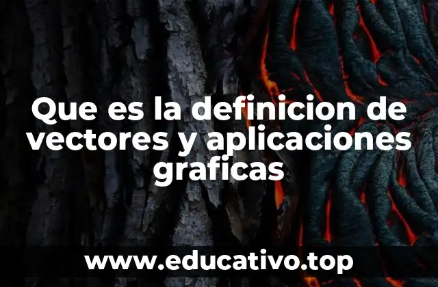Que es la definicion de vectores y aplicaciones graficas