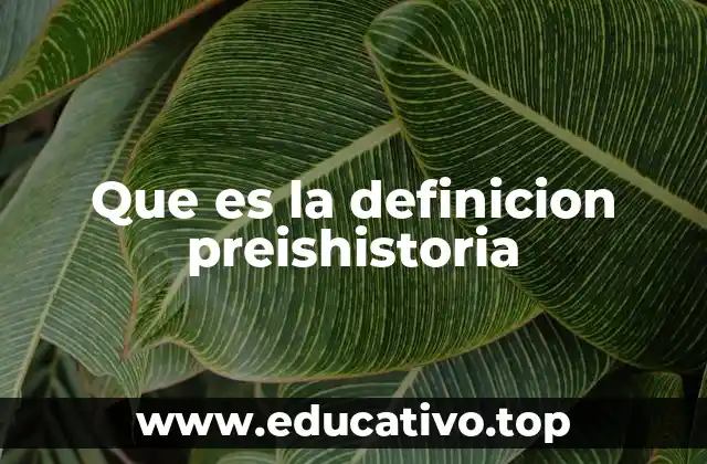 Que es la definicion preishistoria