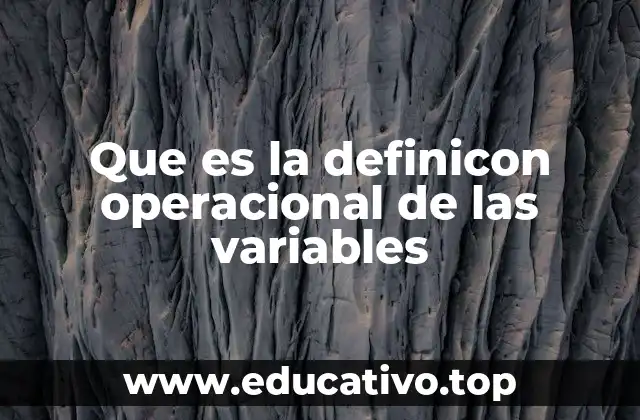 Que es la definicon operacional de las variables