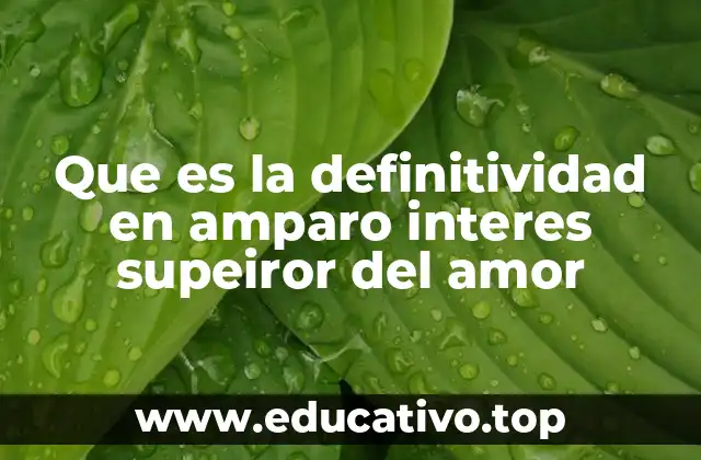 Que es la definitividad en amparo interes supeiror del amor