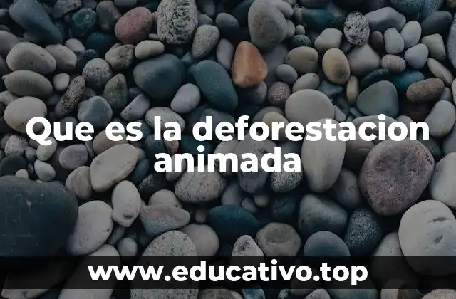 Que es la deforestacion animada