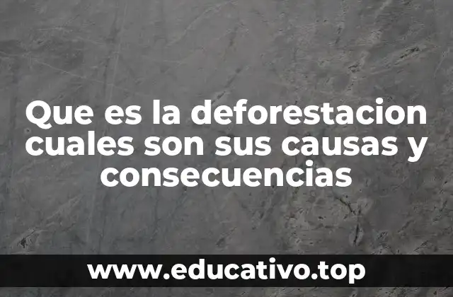 La relación entre el desarrollo económico y la pérdida de ecosistemas forestales