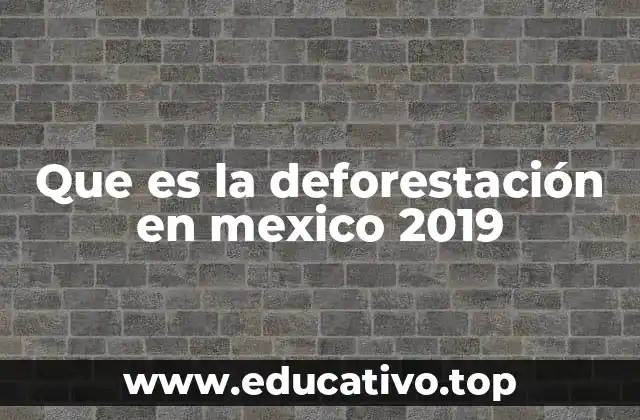 Que es la deforestación en mexico 2019