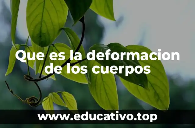 El comportamiento de los materiales bajo fuerza externa