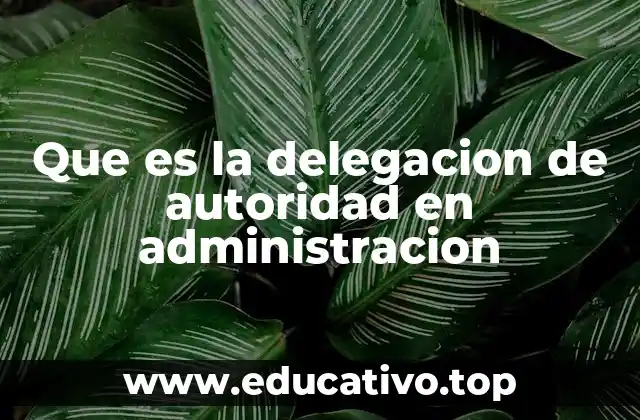 Que es la delegacion de autoridad en administracion