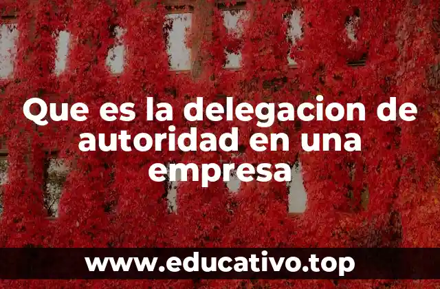 Que es la delegacion de autoridad en una empresa
