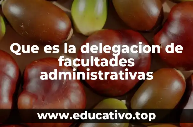 Que es la delegacion de facultades administrativas