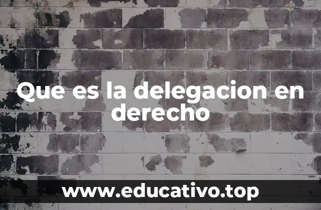 Que es la delegacion en derecho