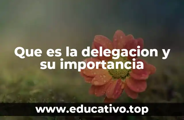 Que es la delegacion y su importancia