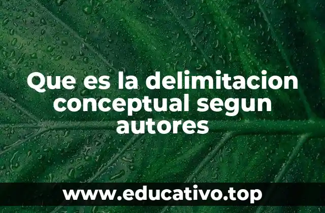 Que es la delimitacion conceptual segun autores