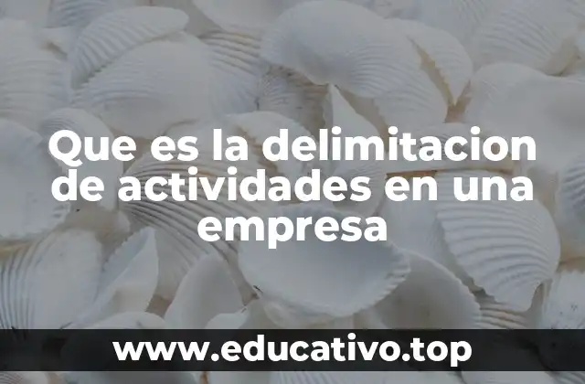 Que es la delimitacion de actividades en una empresa