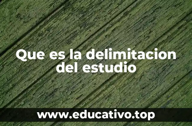 Que es la delimitacion del estudio