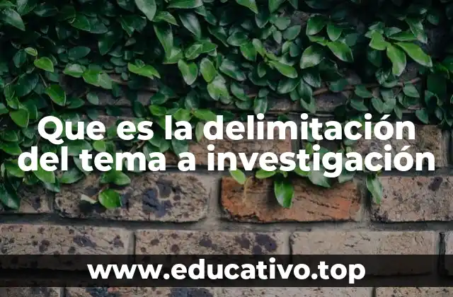 Que es la delimitación del tema a investigación