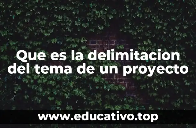 Que es la delimitacion del tema de un proyecto