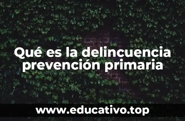 Qué es la delincuencia prevención primaria