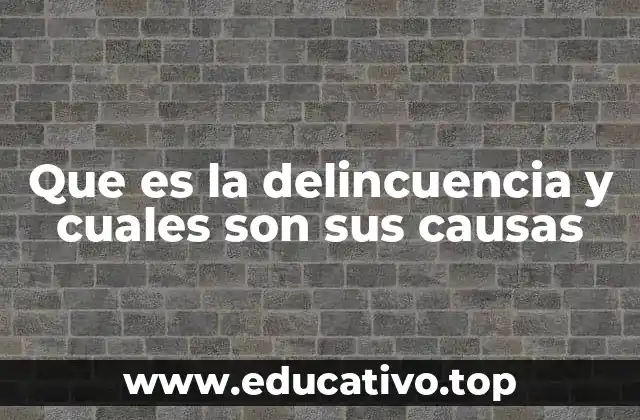 Que es la delincuencia y cuales son sus causas