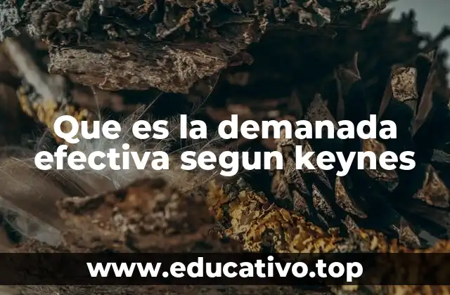 Que es la demanada efectiva segun keynes