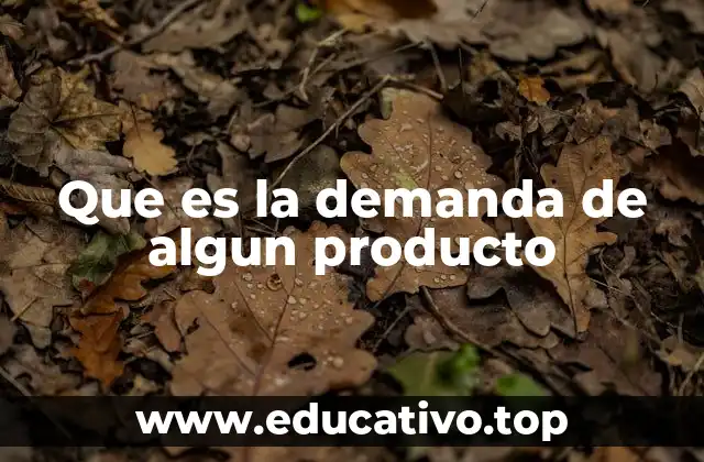 Que es la demanda de algun producto
