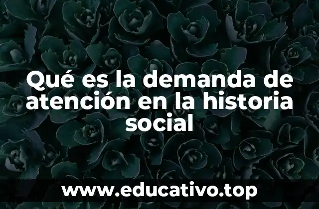 Qué es la demanda de atención en la historia social