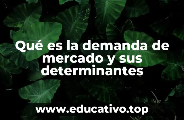 Qué es la demanda de mercado y sus determinantes