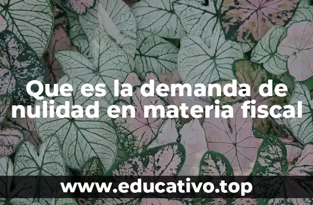 Que es la demanda de nulidad en materia fiscal