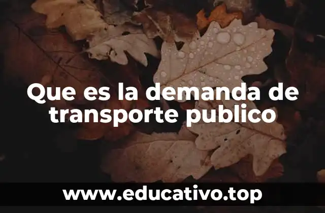 Que es la demanda de transporte publico