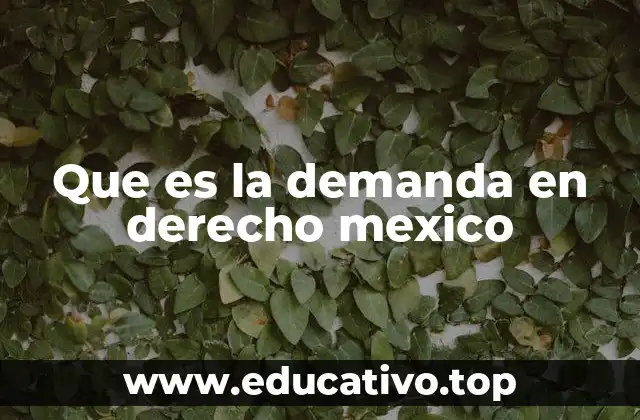 Que es la demanda en derecho mexico