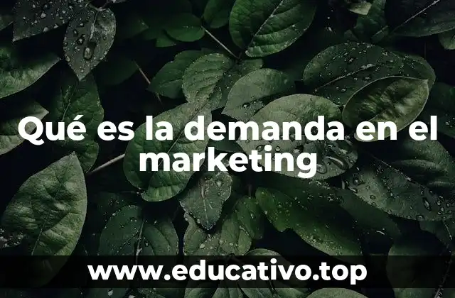 Qué es la demanda en el marketing
