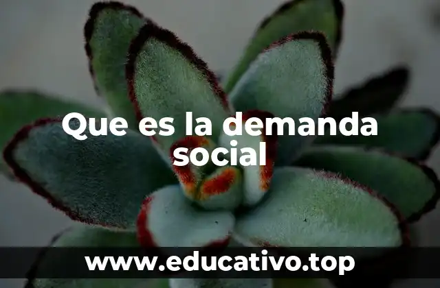 Que es la demanda social
