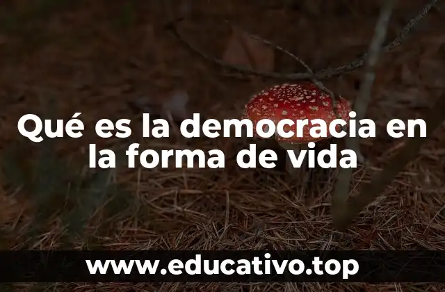 Qué es la democracia en la forma de vida