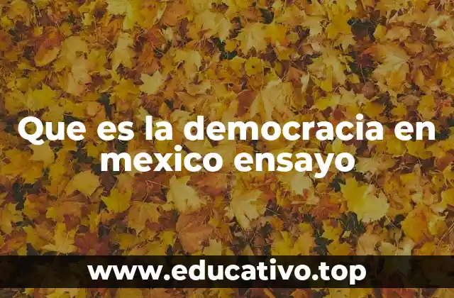 Que es la democracia en mexico ensayo