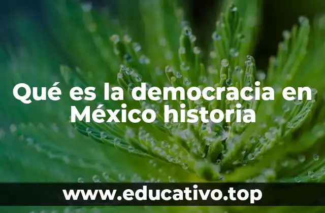 Qué es la democracia en México historia