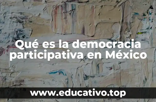 Qué es la democracia participativa en México
