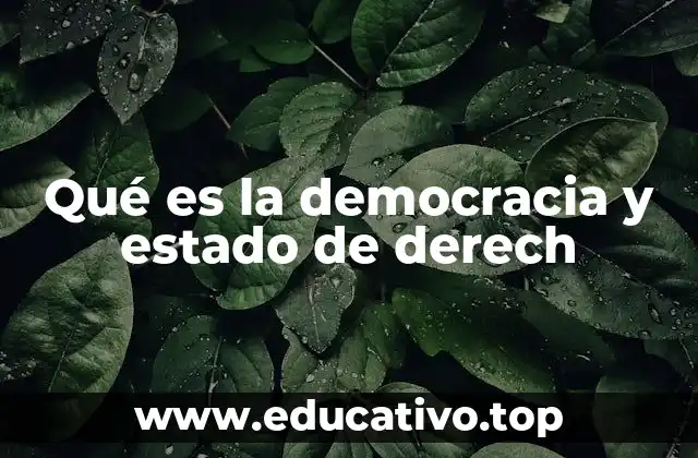 Qué es la democracia y estado de derech