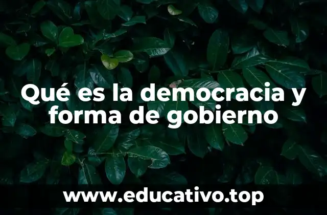 Qué es la democracia y forma de gobierno