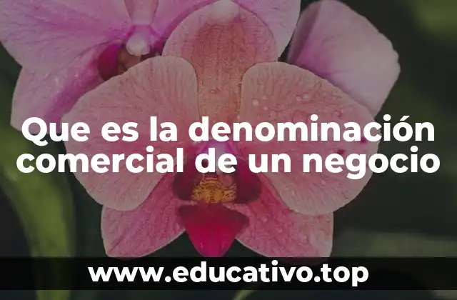 Que es la denominación comercial de un negocio
