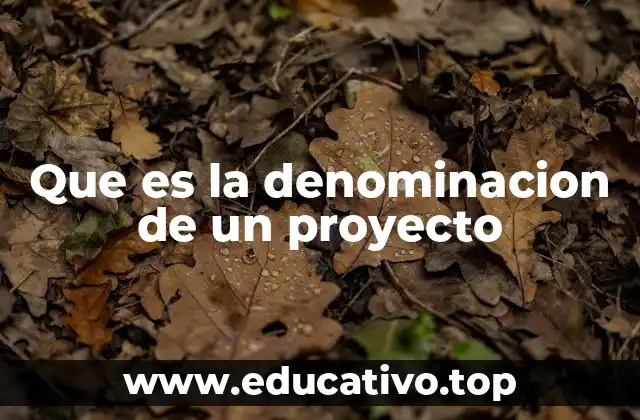 Que es la denominacion de un proyecto