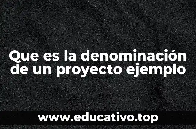Que es la denominación de un proyecto ejemplo