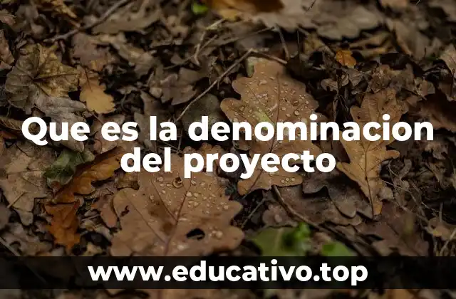 Que es la denominacion del proyecto