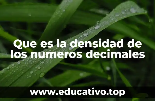 Que es la densidad de los numeros decimales