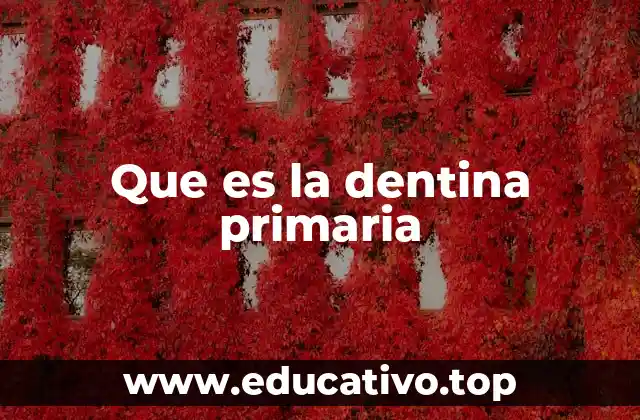 Que es la dentina primaria