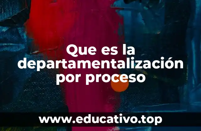 Que es la departamentalización por proceso