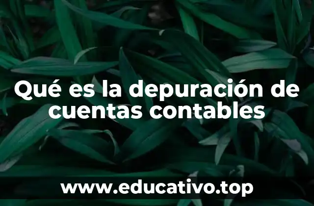 Qué es la depuración de cuentas contables