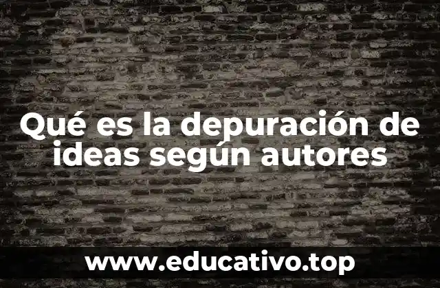 Qué es la depuración de ideas según autores