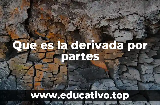 Que es la derivada por partes